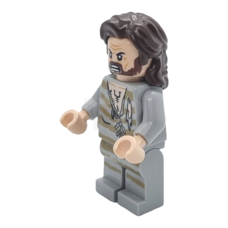 LEGO&reg; hp345 Sirius Black