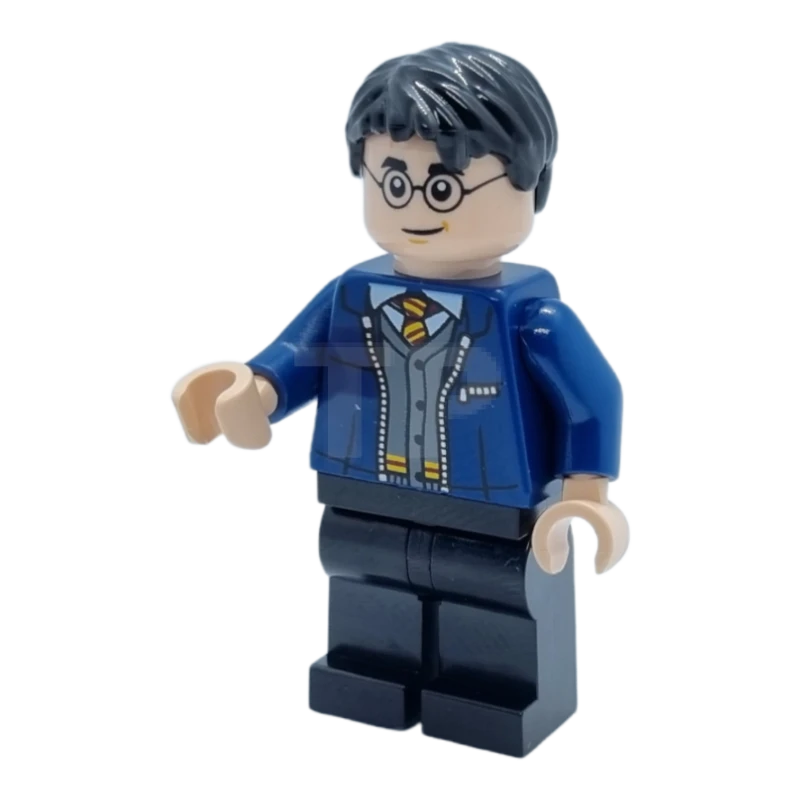 LEGO&reg; hp346 Harry Potter