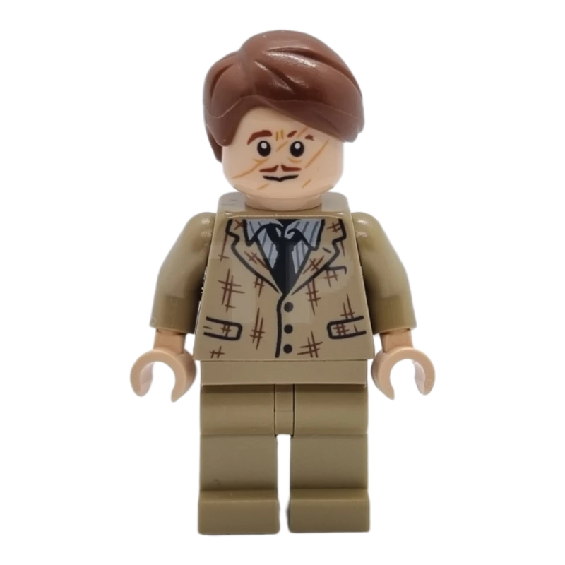 LEGO&reg; hp367 Professor Remus Lupin