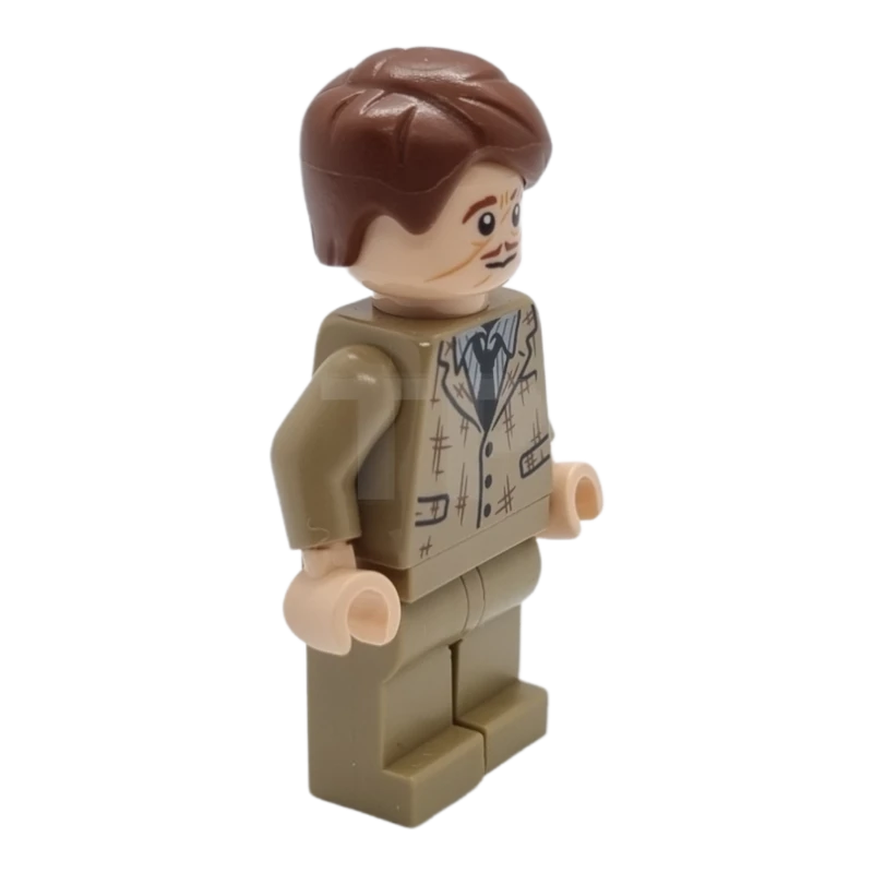 LEGO&reg; hp367 Professor Remus Lupin