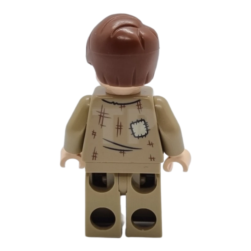 LEGO&reg; hp367 Professor Remus Lupin