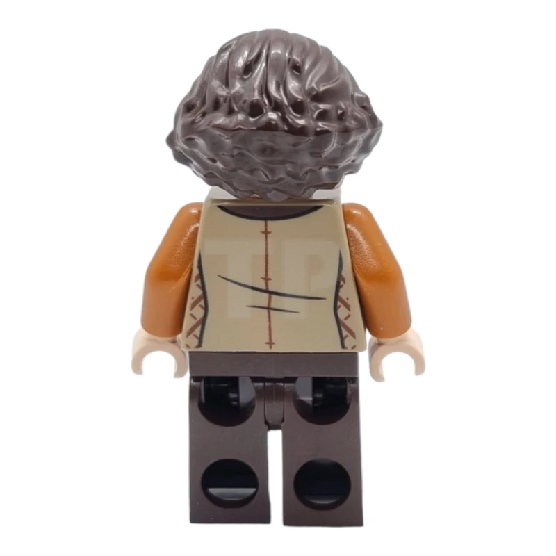 LEGO&reg; hp244 Florean Fortescue