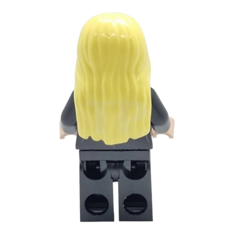 LEGO&reg; hp255 Lucius Malfoy