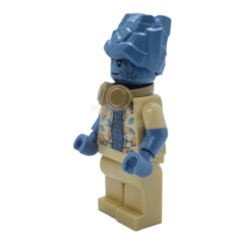 LEGO&reg; sh0752 Korg