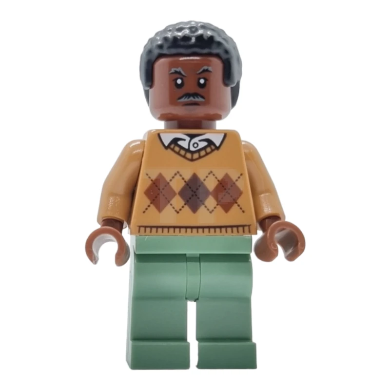 LEGO&reg; sh0716 Robbie Robertson