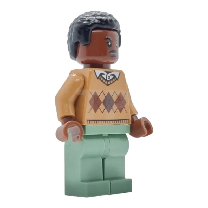 LEGO&reg; sh0716 Robbie Robertson