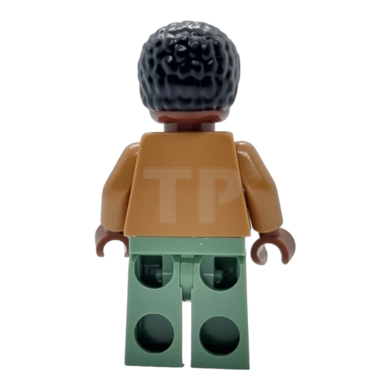 LEGO&reg; sh0716 Robbie Robertson