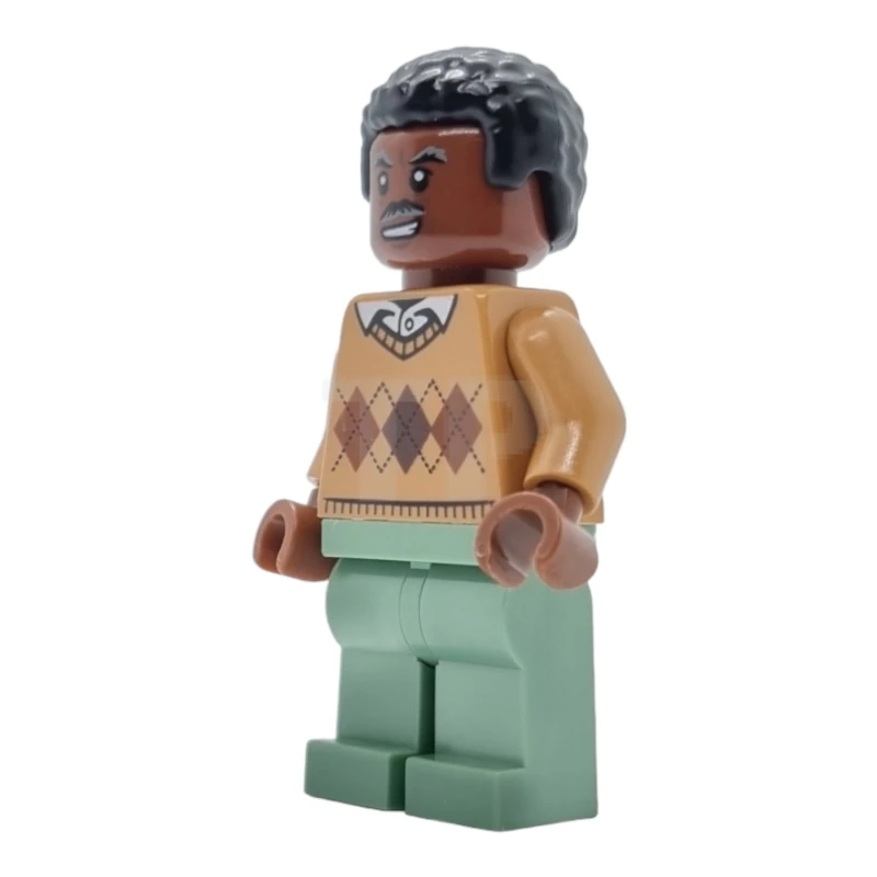 LEGO&reg; sh0716 Robbie Robertson