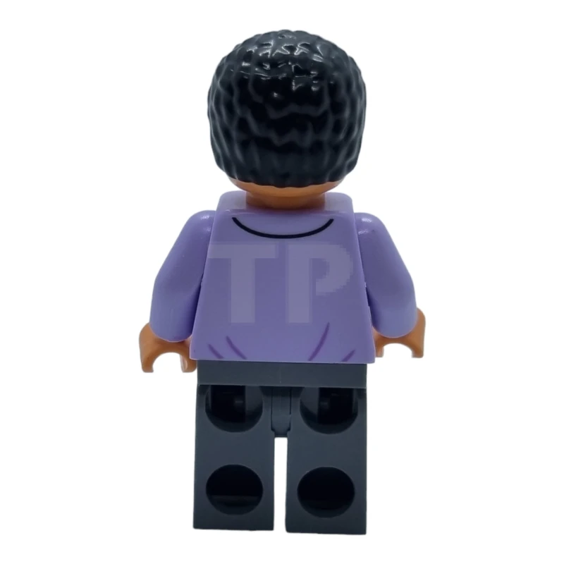 LEGO&reg; idea110 Oscar Martinez