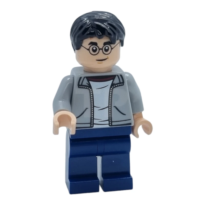 LEGO&reg; hp384 Harry Potter