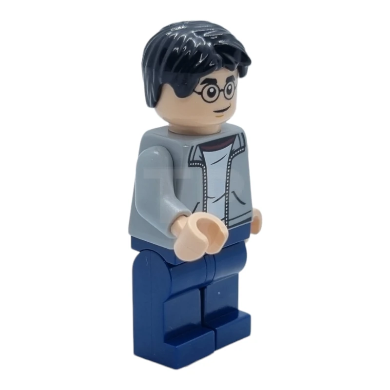 LEGO&reg; hp384 Harry Potter