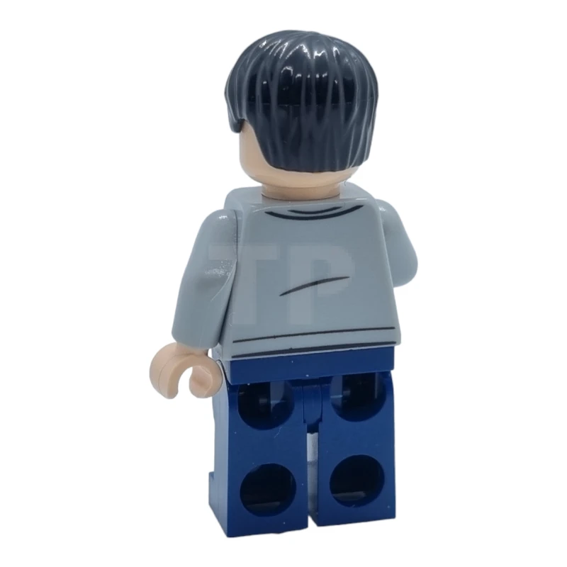 LEGO&reg; hp384 Harry Potter