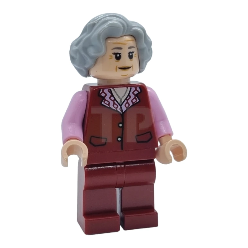 LEGO&reg; hp379 Bruja del carrito