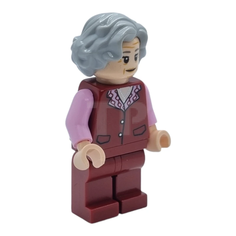 LEGO&reg; hp379 Bruja del carrito