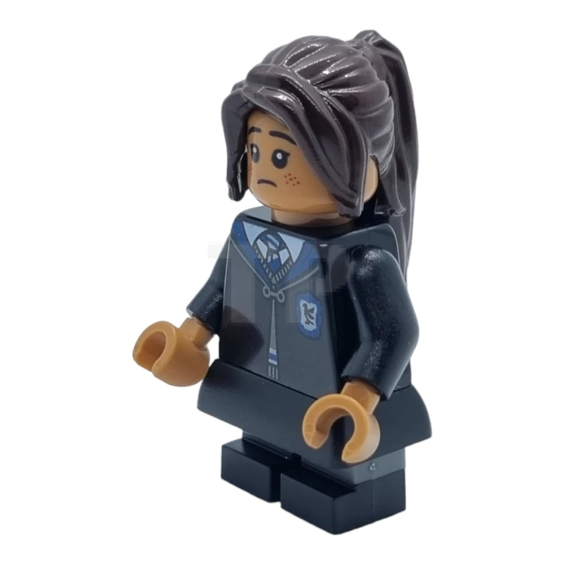 LEGO&reg; hp391 Estudiante de Ravenclaw