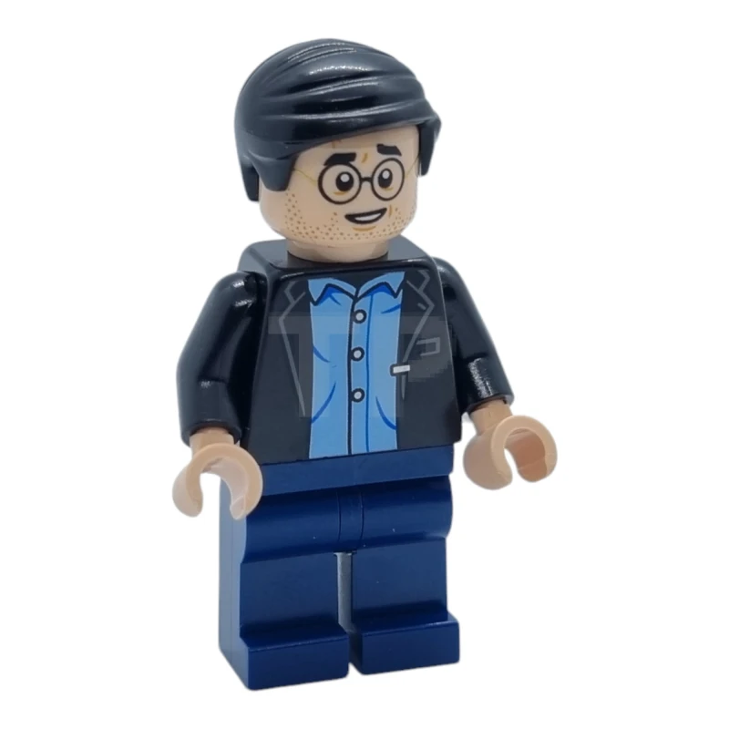 LEGO&reg; hp387 Harry Potter
