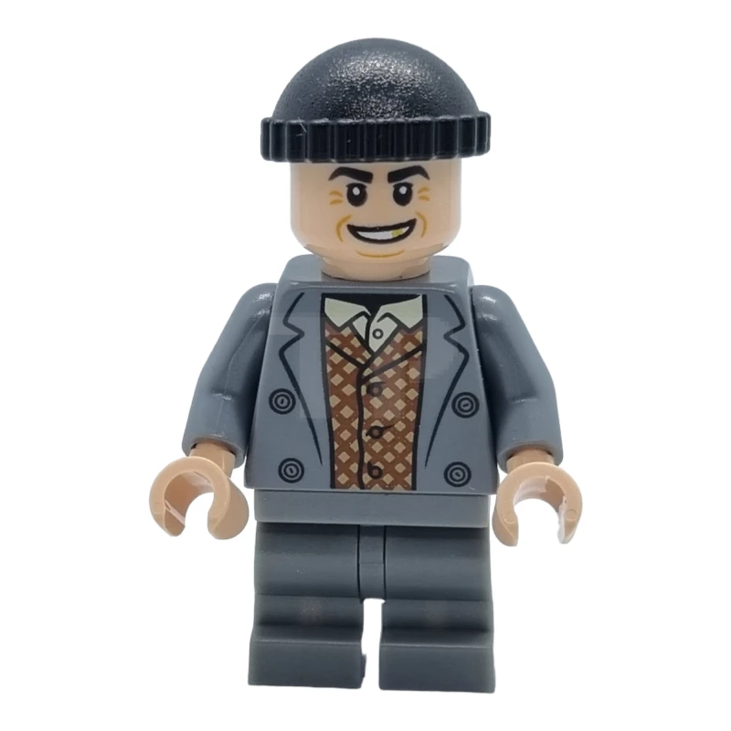 LEGO&reg; idea101 Harry Cal