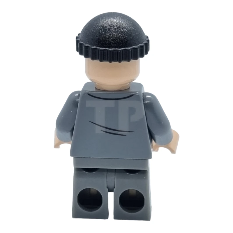 LEGO&reg; idea101 Harry Cal