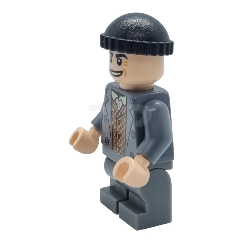 LEGO&reg; idea101 Harry Cal