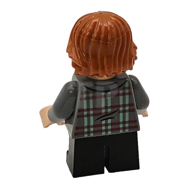 LEGO&reg; hp280 Ron Weasley