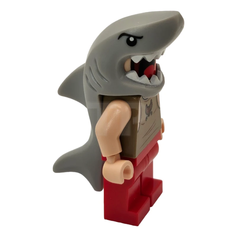 LEGO&reg; hp414 Viktor Krum