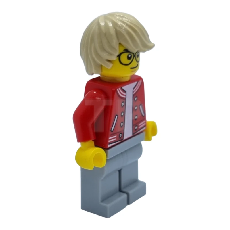 LEGO&reg; cty1581 Photographe