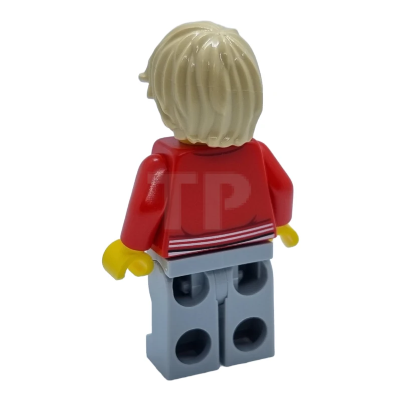 LEGO&reg; cty1581 Photographe