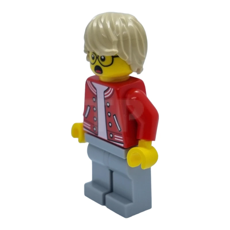 LEGO&reg; cty1581 Photographe