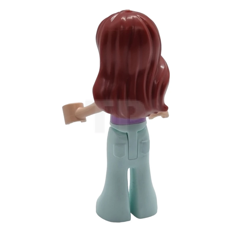 LEGO&reg; frnd0617 Paisley