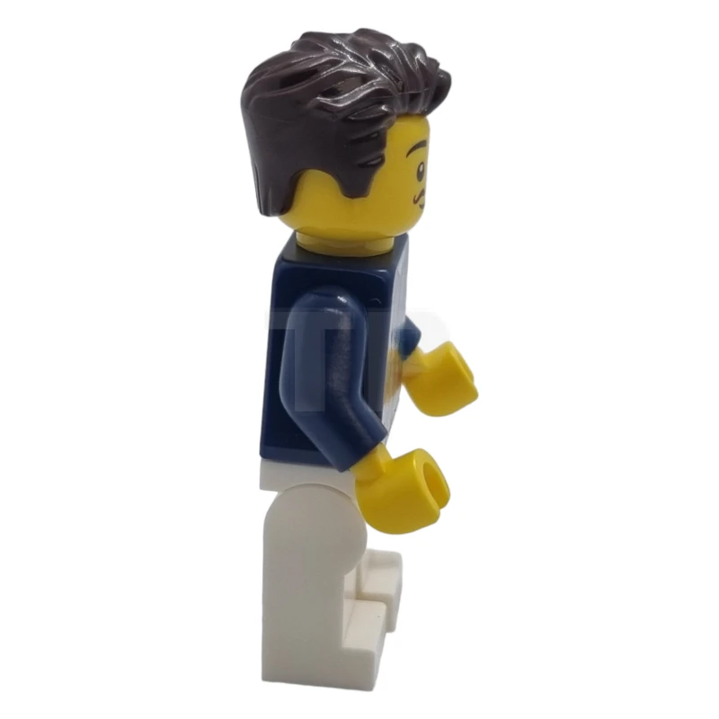 LEGO&reg; cty1621 Resident