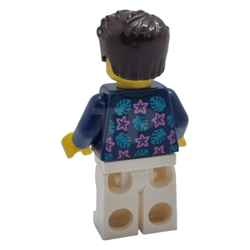 LEGO&reg; cty1621 Resident