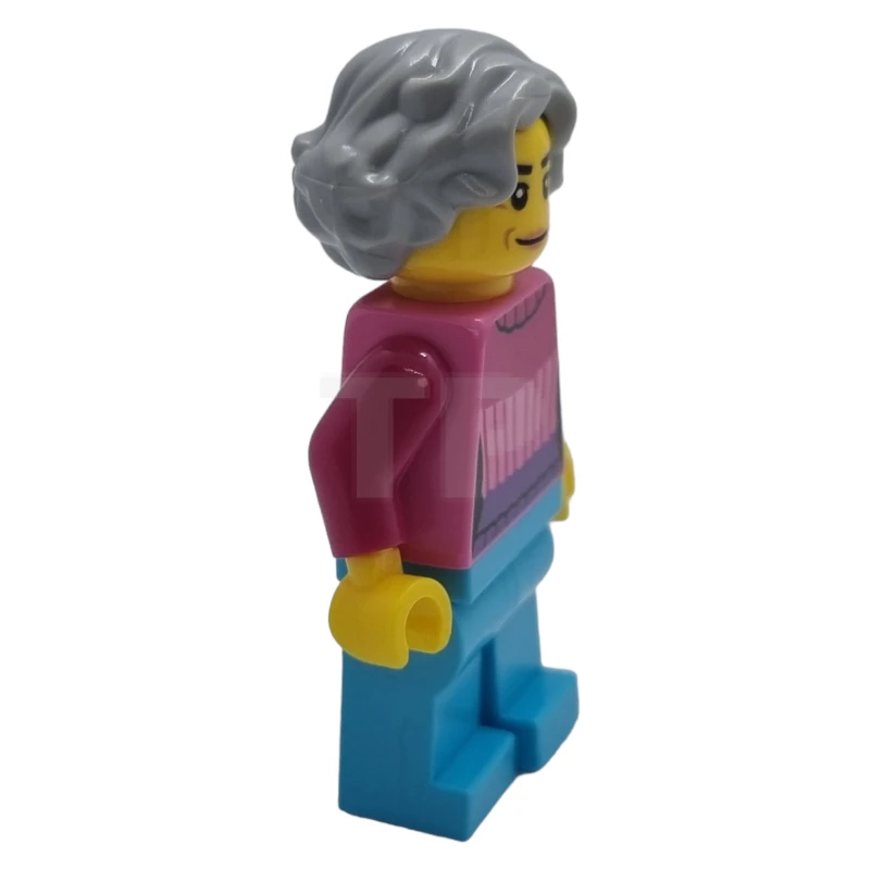LEGO&reg; cty1622 Resident