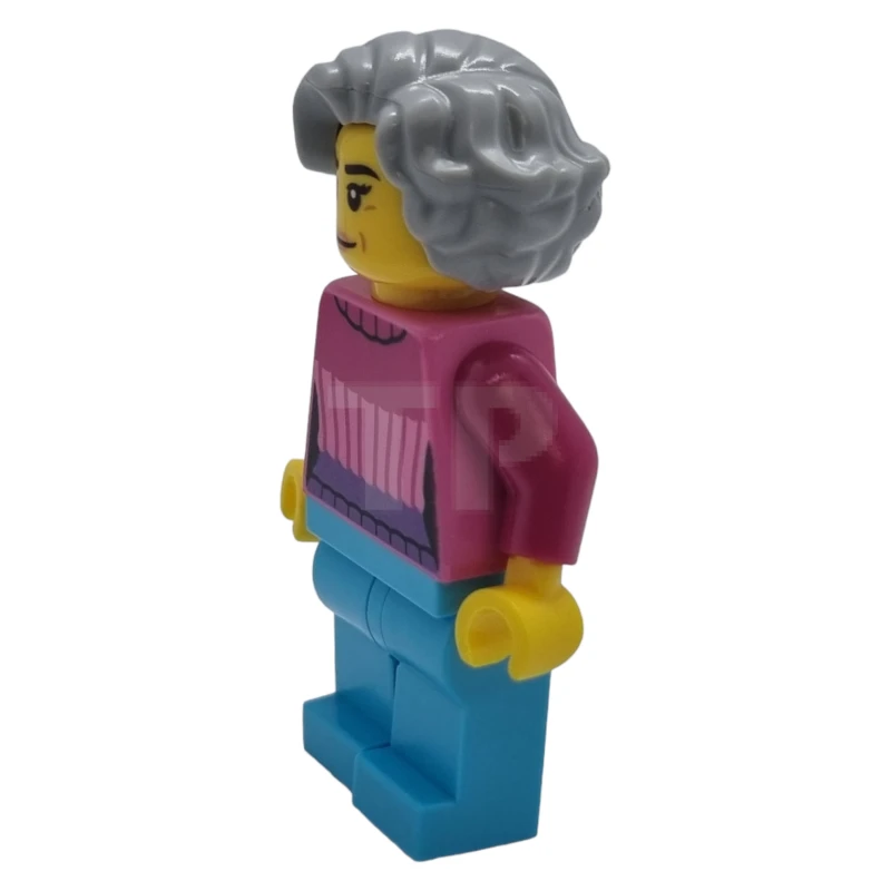 LEGO&reg; cty1622 Resident
