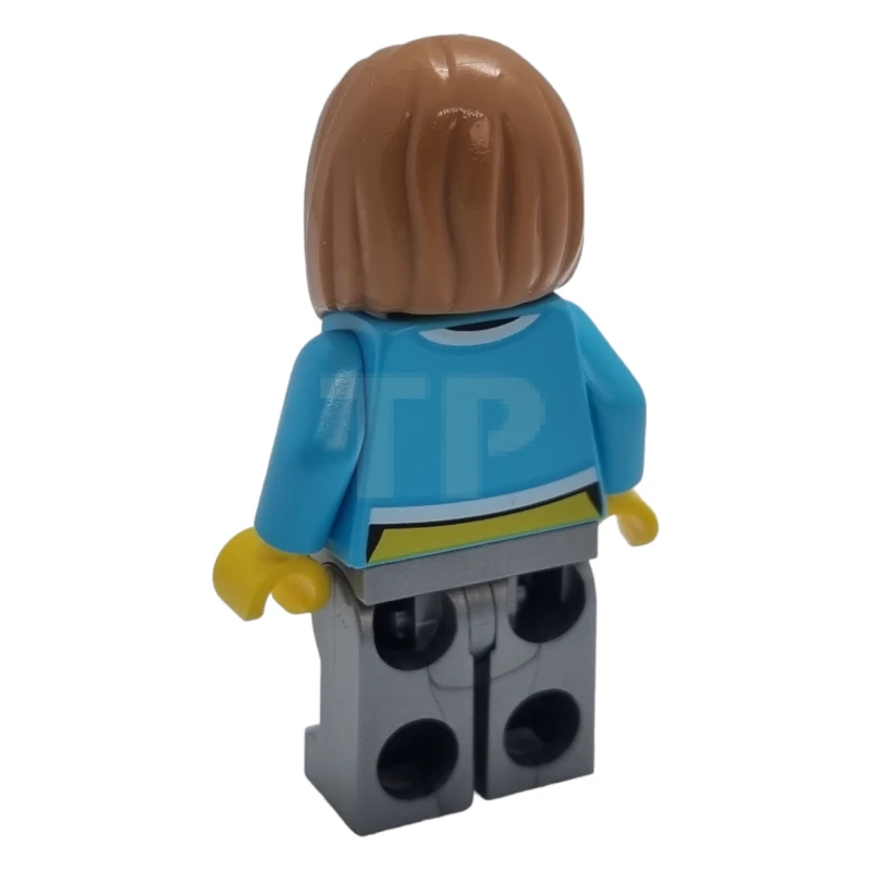 LEGO&reg; cty1623 Resident