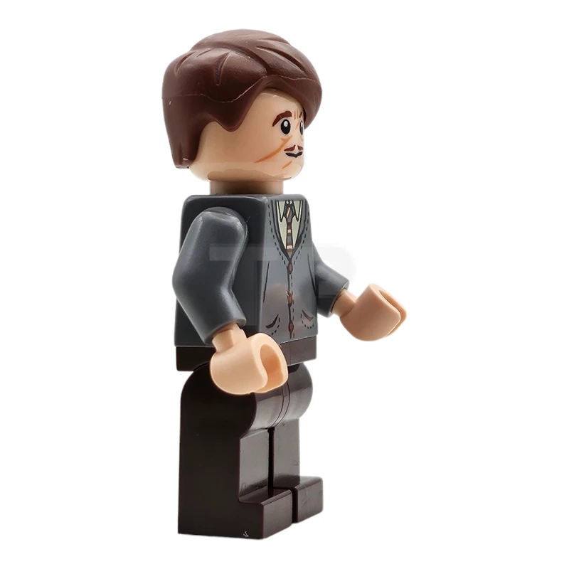 LEGO&reg; hp420 Professor Remus Lupin