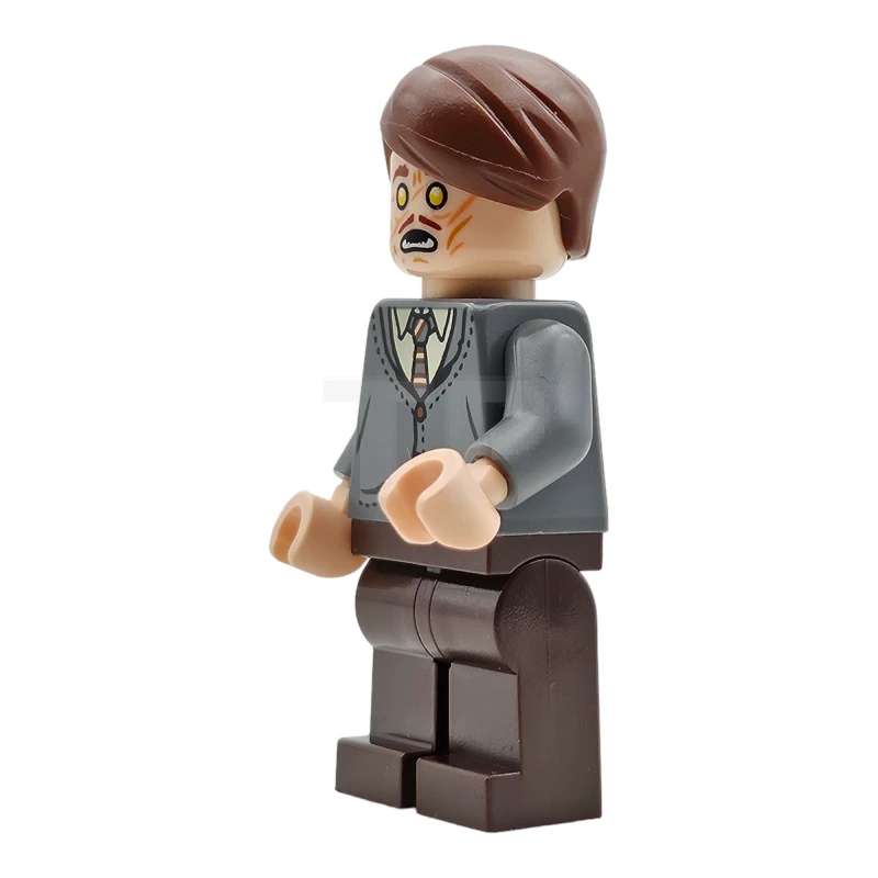 LEGO&reg; hp420 Professor Remus Lupin
