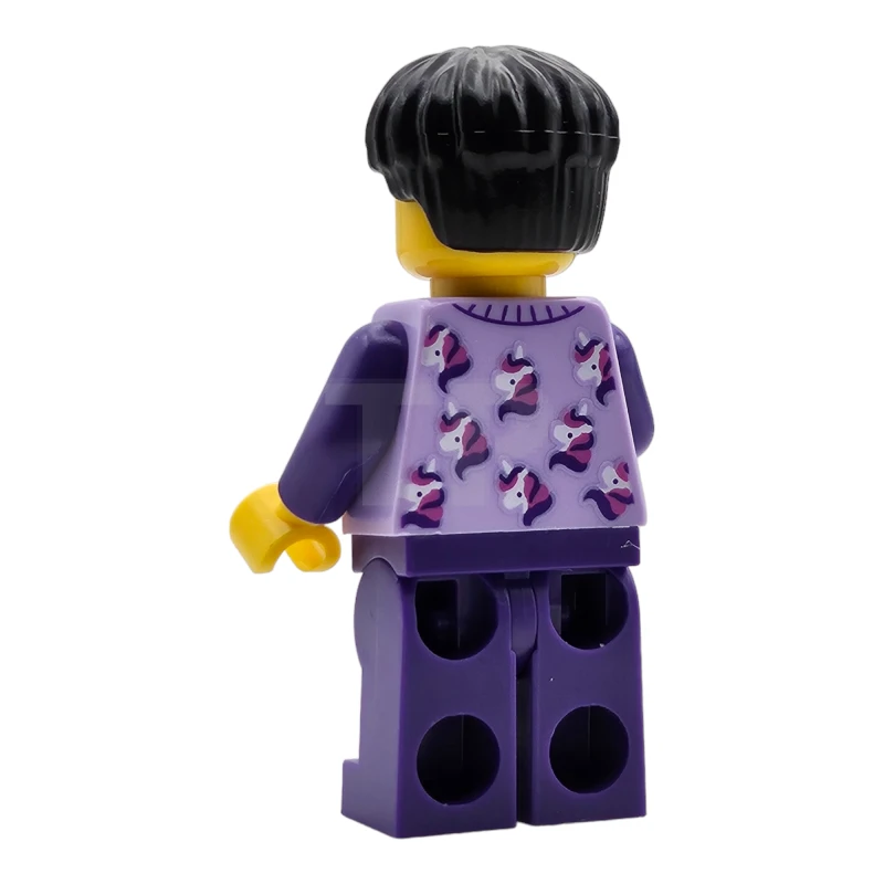 LEGO&reg; drm004 Jayden