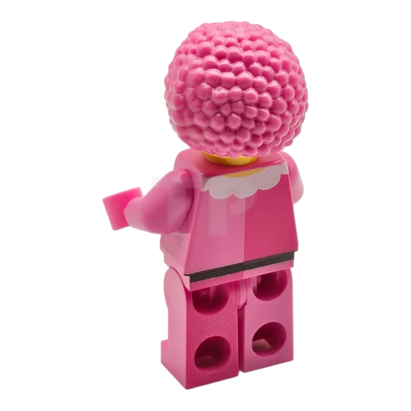 LEGO&reg; Sint03 Wegwijs Piet