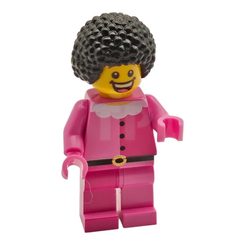LEGO&reg; Sint08 Pietje Precies