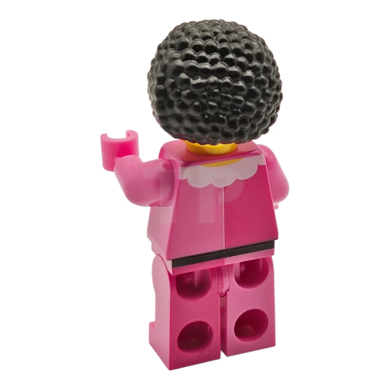 LEGO&reg; Sint08 Pietje Precies