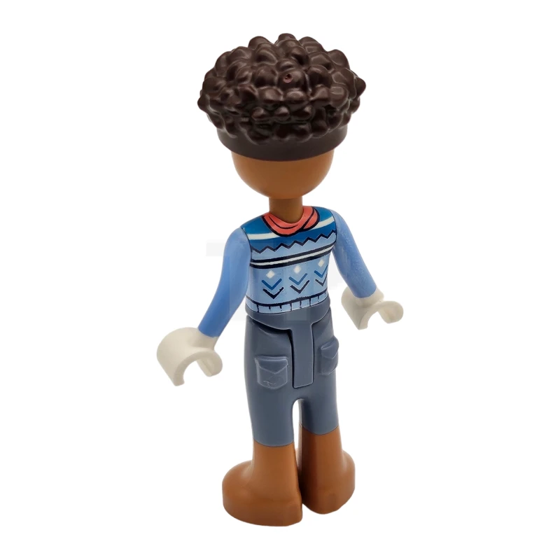 LEGO&reg; frnd0663 Aaron