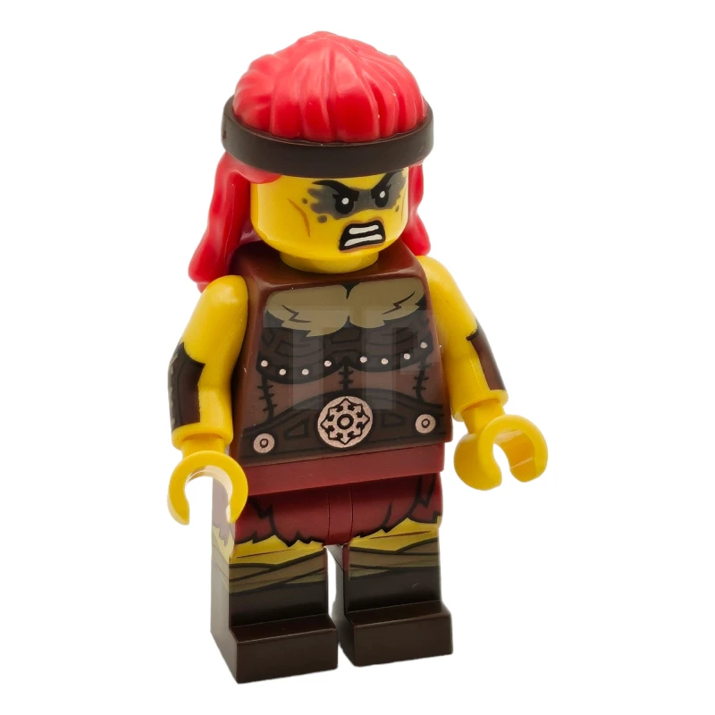 LEGO&reg; col434 Bárbaro feroz