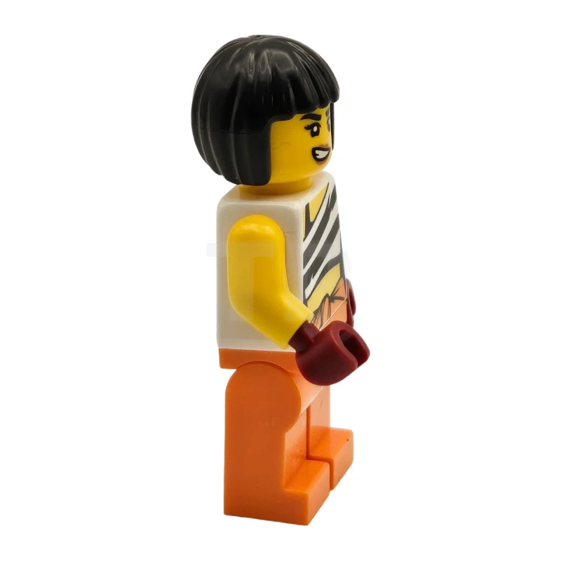 LEGO&reg; cty1744 Anna OfDisguise
