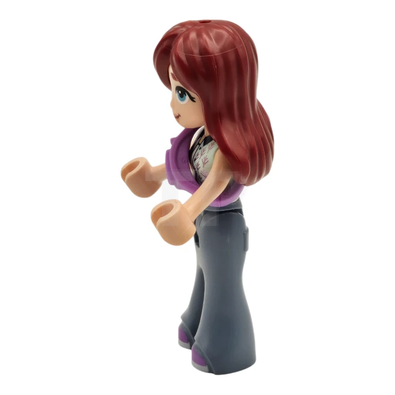 LEGO&reg; frnd0714 Paisley