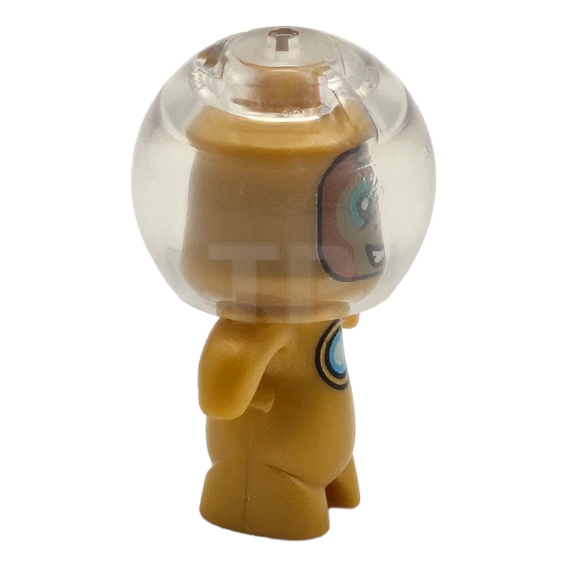 LEGO&reg; drm037 Albert