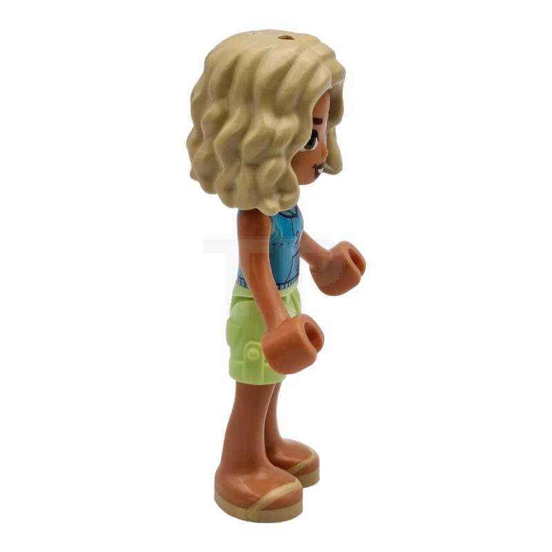 LEGO&reg; frnd0739 Nova