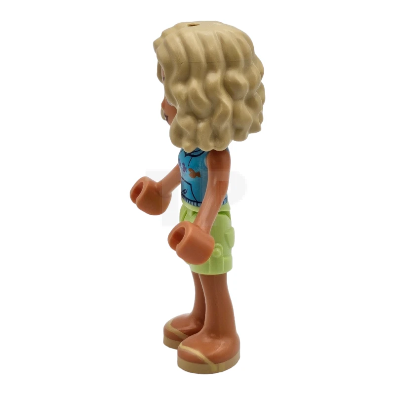 LEGO&reg; frnd0739 Nova