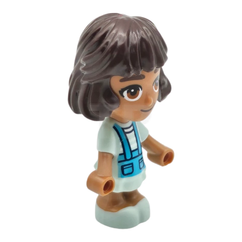 LEGO&reg; frnd0699 Alba