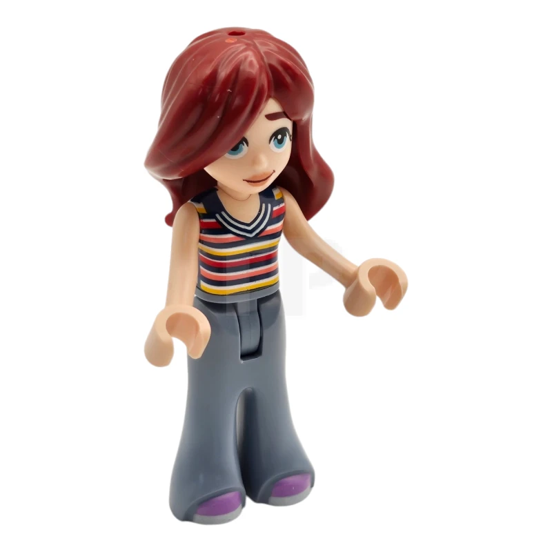 LEGO&reg; frnd0746 Paisley