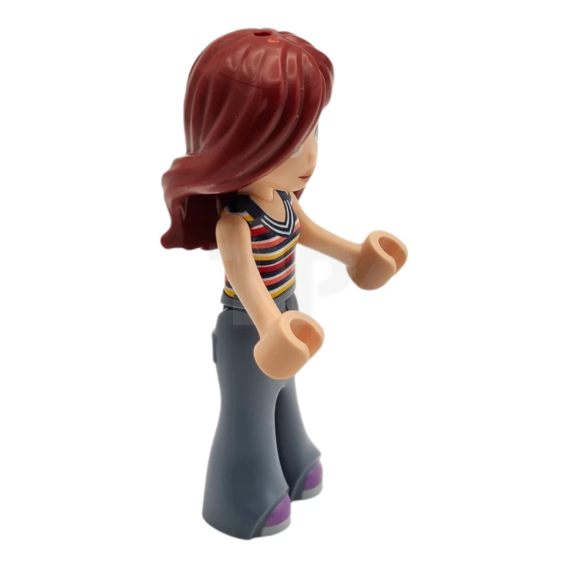 LEGO&reg; frnd0746 Paisley